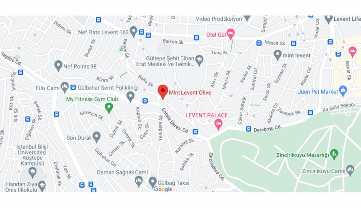 Mint Levent Olive de hemen teslim 1+1 ler 4.5 milyon TL ye!