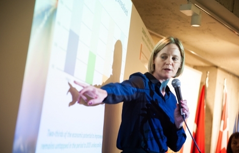 Taş yünü enerji verimliliği için Türkiye'nin radarında!