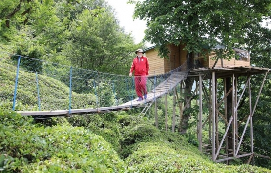 Artvin Arhavi deki ağaç evlere talepler arttı!