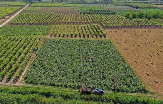 Çiftçi Kayıt Sistemi'ne başvuru süresi uzatıldı!