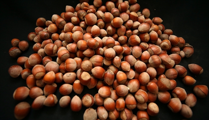 Toprak Mahsulleri Ofisi (TMO) fındık fiyatları belli oldu mu? 2023 fındık fiyatları ne zaman açıklanacak?