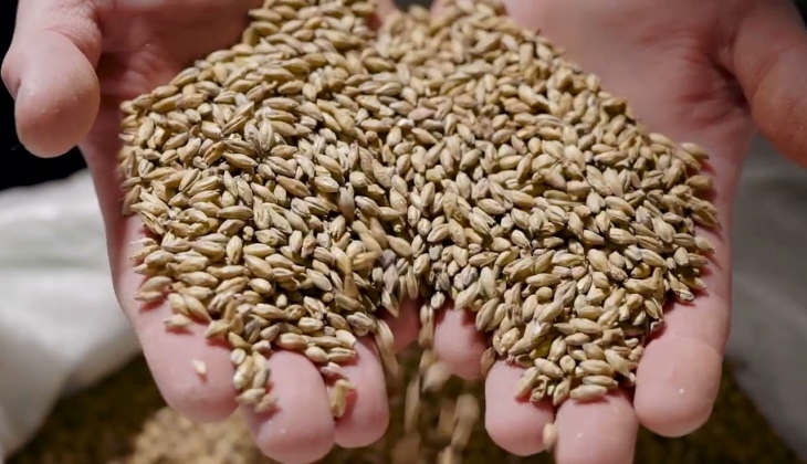 Buğday ve Arpa alım fiyatlarına gelen zam dudak uçuklattı!