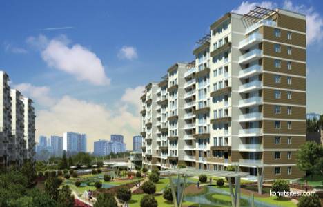 Milpark Plus Evleri!