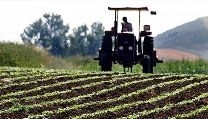 Tarımsal destek ödemeleri ne zaman 2022? Bakan Kirişçi açıkladı! Buzağı, çiğ süt, malak, manda destek ödemeleri...