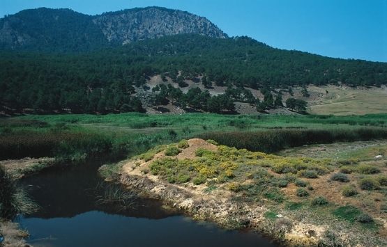 Denizli Karagöl'de doğan sit alanı kesin olarak korunacak!
