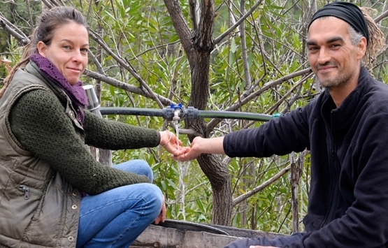 Mahkemeden ilginç karar: Araziyi satan bilirkişi oldu!