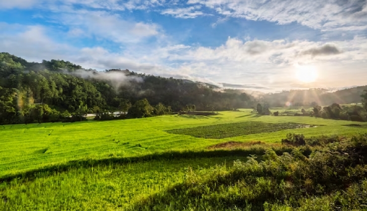 Akçakiraz Beldesi’ndeki arsalar için dudak uçuktan teklif! 