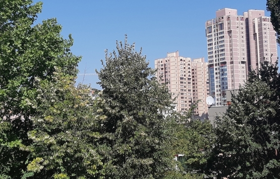 Emlak vergisi ödemeleri 2020 sorgulama!