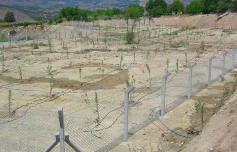 Sivas-Erzincan Kalkınma Projesi Jain Sulama Sistemleri ile anlaştı!