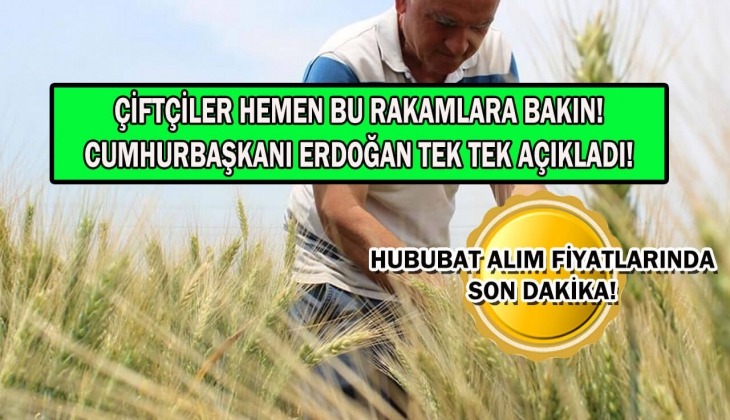 Çiftçilere buğdayda 9 bin 250 TL, arpada ise 7 bin 500 TL verilecek! Hububatta yüzde 35'lik refah payı sağlandı!