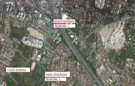 İnşaat atıkları Validebağ Korusu'ndaki dereye mi atılıyor?