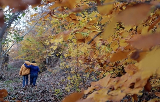 Kahramanmaraş Başkonuş Yaylası’ndaki beton inşaat tepki çekiyor!