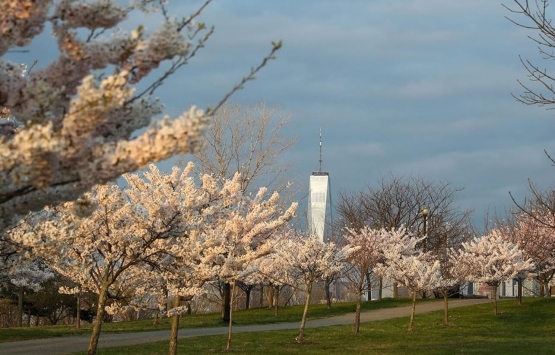 Netflix, New Jersey deki askeri üsse talip oldu!