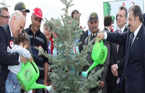 Kızılay bağışçıları adına 1,5 milyon fidan dikildi!