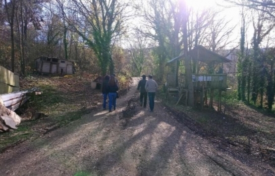 Beykoz’a yapılacak 553 villa için ağaç kesme izni istendi!