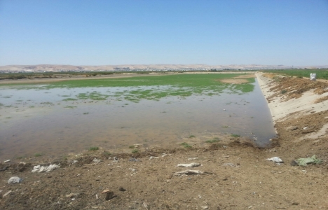 Şanlıurfa Atıksu Arıtma Tesisi ihale aşamasında!