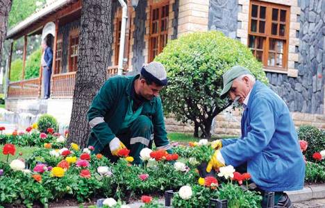Bağcılar’ın park, bahçe ve refüjleri lalelerle süsleniyor!
