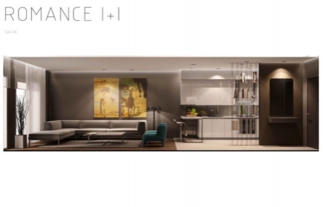 Demir Romance örnek daire!