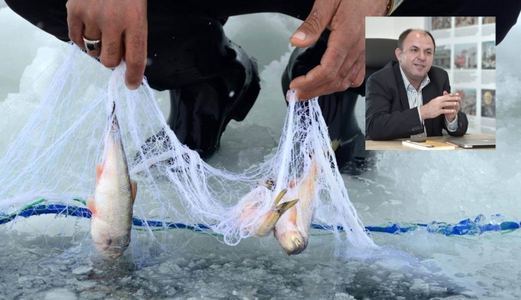 Denizlerdeki balıklar nereye gitti?