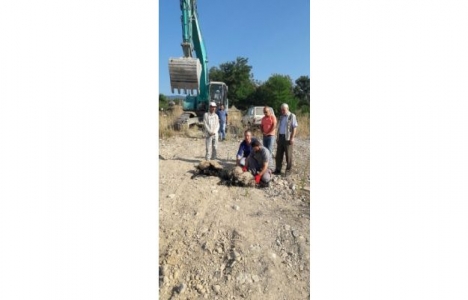 Karabük Rüya Şehir kentsel dönüşüm projesi başlıyor!