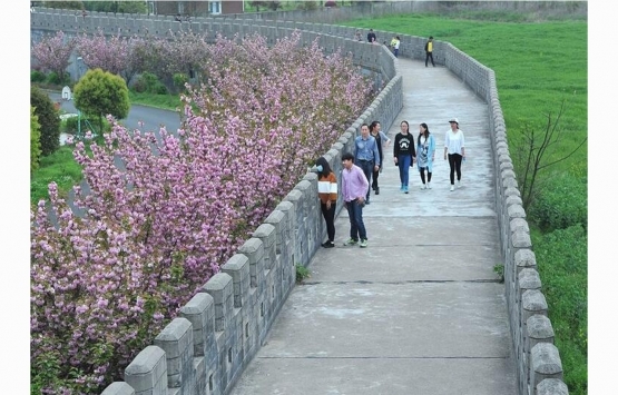 İhya olan en zengin köye gelen herkese villa veriliyor!