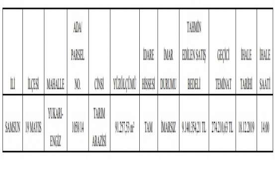 Samsun da 9.1 milyon TL ye satılık arsa!
