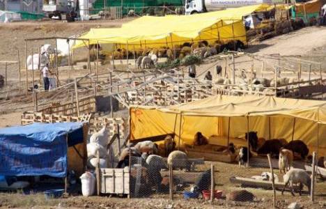 Kurban kesim yeri olarak değerlendirilebilecek alternatif alanlar!