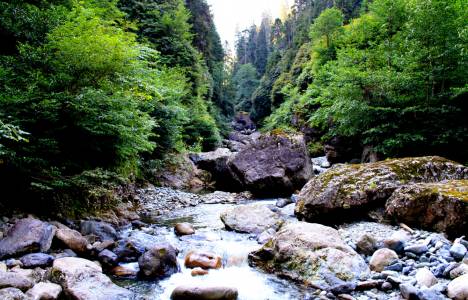 Kamilet HES'i İl Genel Meclisi'ne sunuldu!