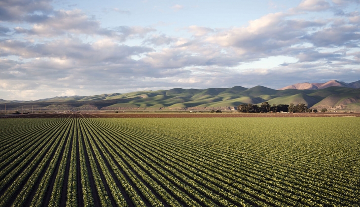 O ilde 750 bin TL'den başlayan fiyatlarla 11 arsa satılıyor! Arsa alacaklar dikkat! 