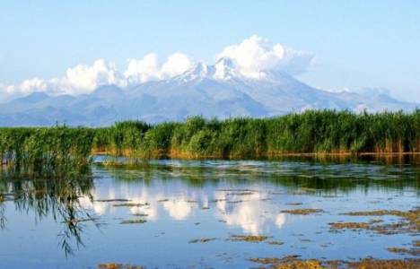 Kayseri Sultan Sazlığı Milli Parkı'na Kuş Müzesi açıldı!