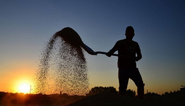 Bakanlık açıkladı! Çiftçiye şubat sonu 200 milyon TL ödenek!