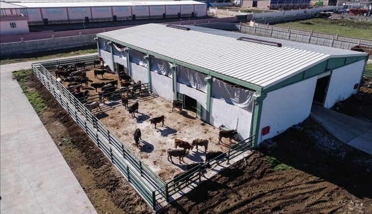 Organize tarım bölgeleri için parsel tahsislerinde yatırımcılara yüzde 60-100 indirim müjdesi!