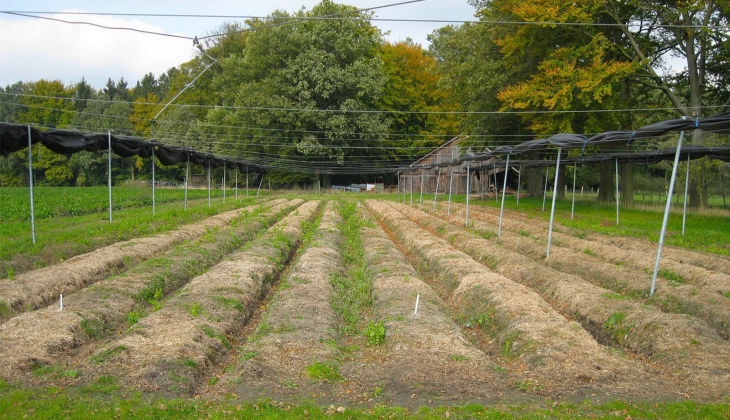 Belediye meclislerinin en yoğun mesai harcadığı konu imar! CHP den plan değişikliği, kamulaştırma kararlarına tepki!
