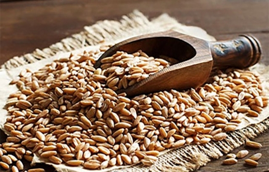 Bakanlıktan tarımdaki önemli ürünlere transit ticaret yasağı