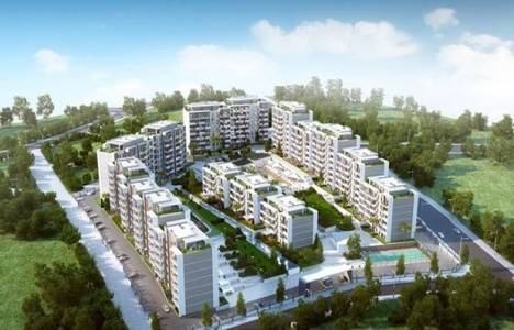 Triyanda Masal fiyat listesi