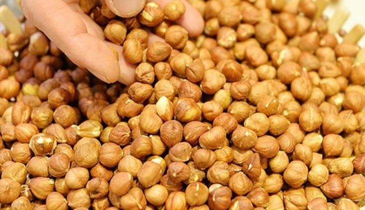 Ünye, Trabzon, Sakarya ve Zonguldak fındık fiyatları tek tek açıkladı! Güncel fındık fiyatları 2023 ne kadar?