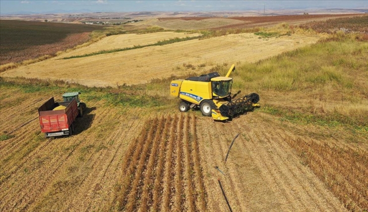 Gıdada ‘kuraklık’ tehlikesi! Havalar böyle giderse yiyecek meyve-sebze bulamayacağız!