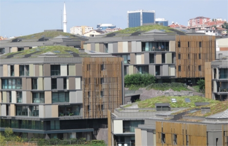 İnşaat sektörünün yeni trendi yeşil çatılar!