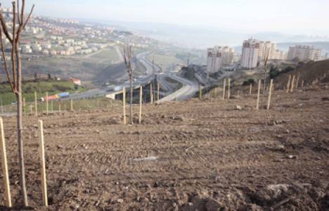 Kocaeli'ye 25 dönümlük kent ormanı kuruluyor!