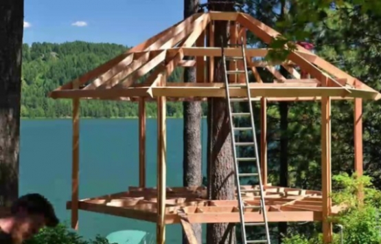 ABD deki ağaç ev görenleri hayran bırakıyor!