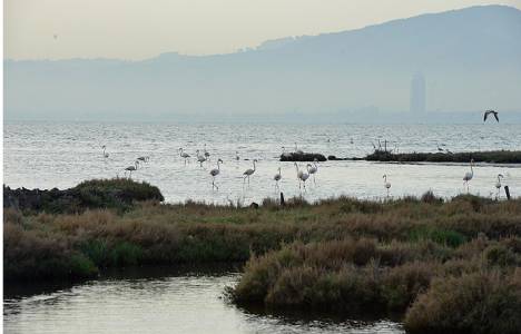 Çiğli Atık Su Arıtma Tesisi'nden çıkan su Kuş Cenneti’ne can verecek!