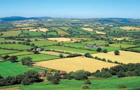 Köyün belediye olması halinde arazilerin durumu!