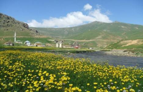 Taşköprü Yaylası'na ilgi giderek artıyor!