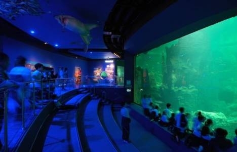 İstanbul Akvaryum Florya giriş ücreti 2015!