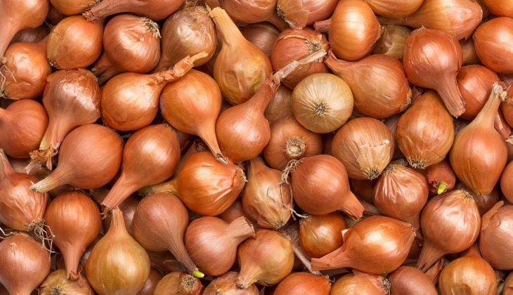 Kuru soğanın kilosunun neden bu kadar arttığı ortaya çıktı! Bakın nedenmiş?