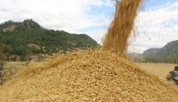 Uzmanlar açıkladı! Oranları görenler gördüklerine inanamadı