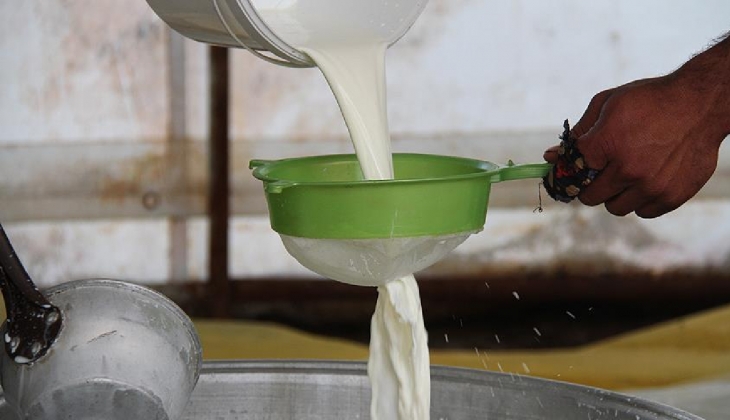 SON DAKİKA HABERİ: Çiğ süt tavsiye fiyatı belirlendi! Yüzde 35,2 zam