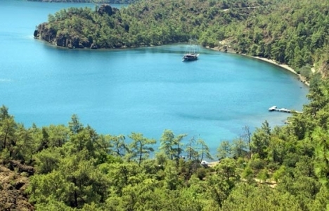 Sit alanlarında bomba düzenleme!