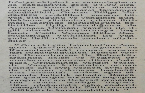 1980 yılında Azizpaşa Ormanı tamamen yanmış!
