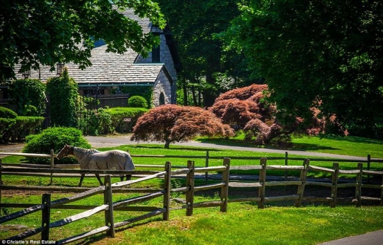 William Ziegler’in adası 125 milyon dolara satılıyor!
